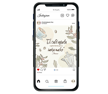 Creación de Contenido